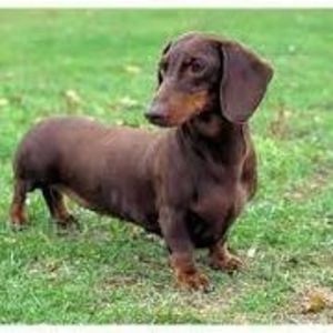 Meet your Posher, Jonny uhuh